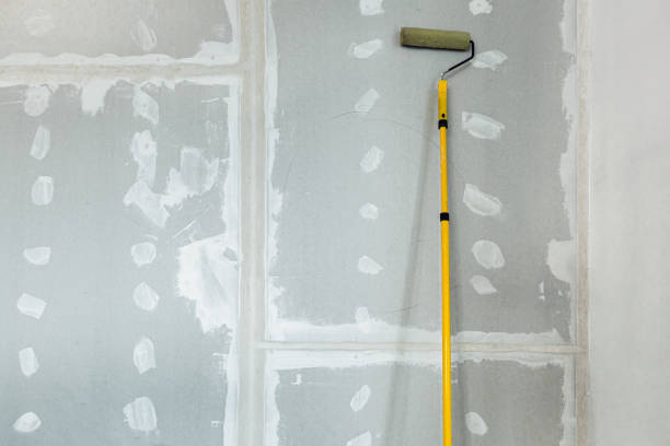 Reliable Hallsville, MO Dry wall and painting Solutions